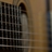 BryanTerrio's profile image