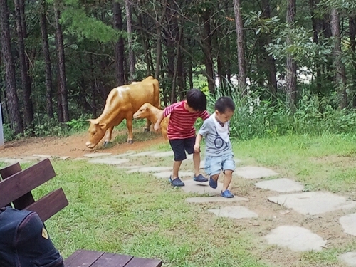 빛 좋은 개살구