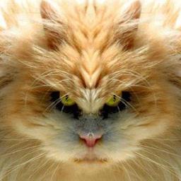 I have made plenty of  mistakes in my life, and I do not expect forgiveness...........But Iam NOT a Politician!