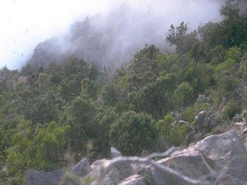 wwwmom10010's profile picture. معلمة لغة انجليزية . بنت قبيلة بلقرن . متمسكة بحجابي . وأسعى لخدمة ديني