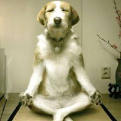 kiwabound's profile picture. 