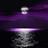 merce17arias's profile image