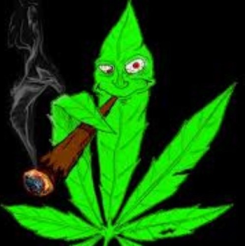 Higher than you!
