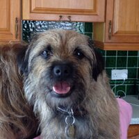 Barny Heywood (@bhhsek) 's Twitter Profile