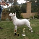 Mark Needs - @evanmennalowri - Twitter