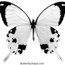 leida gonzalez - @llglzrdgz17 - Twitter