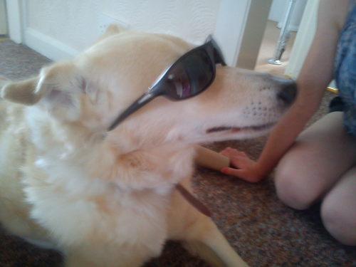 Andyjames1981's profile picture. kid-R & newcastle united fan, lytham st annes lancashire, facebook/andrewgriffiths - andrewgriffiths56@gmail.com