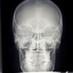 pirañaperonoaraña (@piranha_28) Twitter profile photo