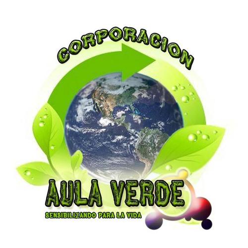 Una nuova aula: l’aula verde