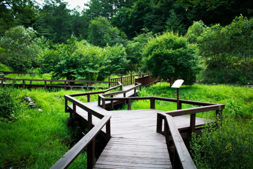 angel526_angel's profile picture. 선선한 바람에 가을 노래가 생각납니다. 음악,동양화,검도 좋아합니다.