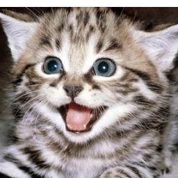 hehehHeH