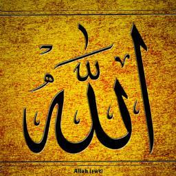 Daily tweets about the teachings of the Quran and the hadiths of the Prophet PBUH to grow your knowledge of Islam :)