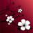 Ena12Keena's profile image