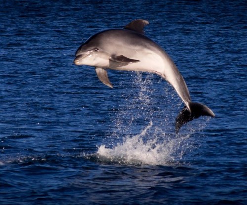 HappyPaddlerNZ's profile picture. 