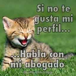 Sobreviviente Del Ayer, Pasajero Del Ahora, Soñador Del Mañana... Simple pero optimista.... sigueme y te sigo @dannys_pacheco @dannys_pacheco2 #F4F