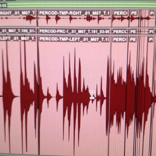 screaminglizard's profile picture. 