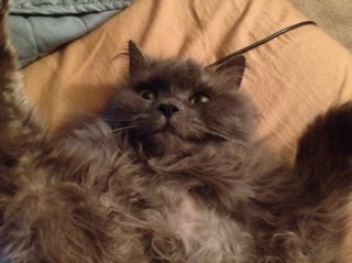 Mcre8ton's profile picture. 