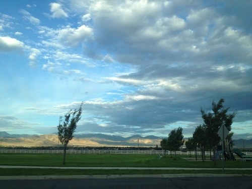 Easyliving76's profile picture. 