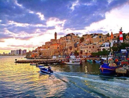 trailwooddr's profile picture. 