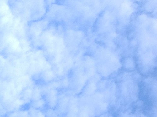 投資信託での不労所得を目指しているやすです。Twitterでは私の運営するサイトの更新情報を発信しようと思います。 その他、興味のあることは投資、ビジネス、スポーツです。