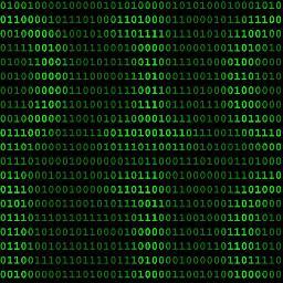 In_Marketer's profile picture. Entrepreneur in Quebec city