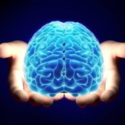 Metacognitive coach uniquely strategizing tailored scaffolding enabling clients to analogically problem solve emotional blockages and negative thought patterns.