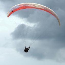 juancmarquezt's profile picture. nativo de caracas venezuela contador publico ,dedicado al control fical