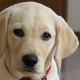 books_ic's profile picture. iMac、iPhone、iPad、iPod nanoを使うアップル好きです。iPhoneアプリも作ってます。ツイッターではApple、Android、IT関連のネタで気軽に絡んで頂けると嬉しいです♪