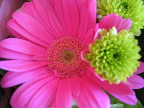 Petiteangy's profile picture. 