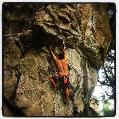 dierensrodrigo's profile picture. 