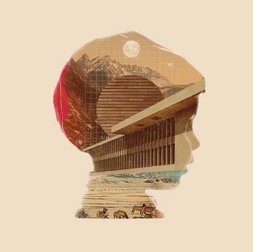 sherlockzzz's profile picture. 