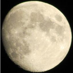 TonnieRana's profile picture. 