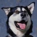 Levi Price - @LeviPrice5 - Twitter