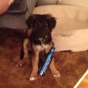 Benson Casey - @benson_casey - Twitter