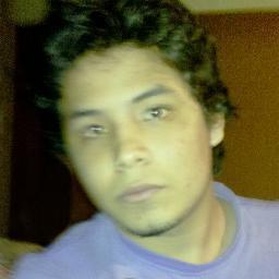 Software Developer