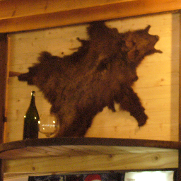 tommaVF's profile picture. 