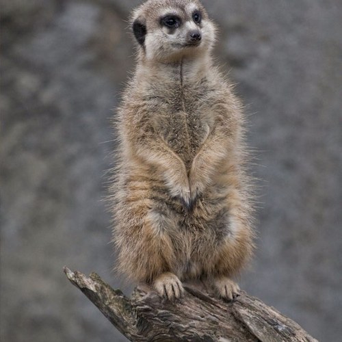 Sparky78Mark's profile picture. 