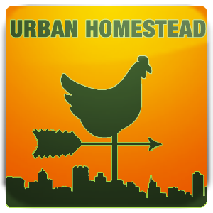 Rural Self-Sufficiency in an Urban Landscape. Gardening, Chickens and fun.