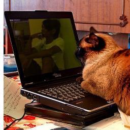 regabastian's profile picture. 