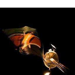 From the River to the Sea Palestine will be Free
