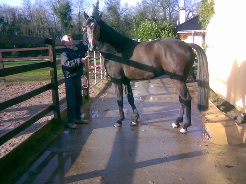 apasset's profile picture. 