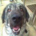 Barry Talbot - @barryt9 - Twitter