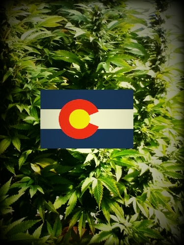 Everything on this page is completely legal and has been attained legally. #smoke #coloradobuds