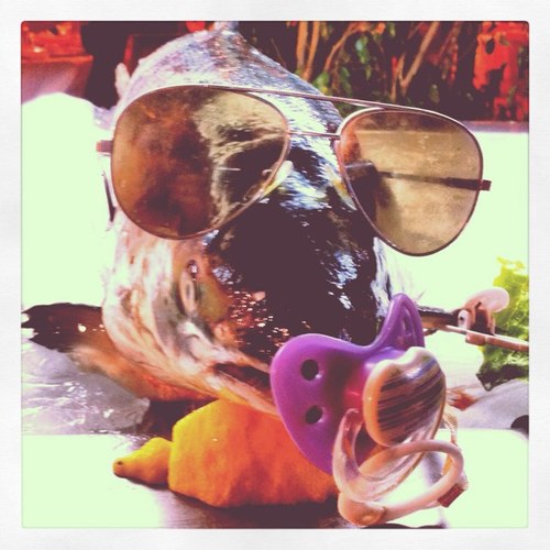 iMassively's profile picture. 