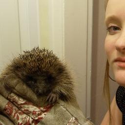 I'm Rachael, a fledgling hedgehog carer. Join me on my journey, for tweets relating to my sick & injured hedgehogs & experiences.