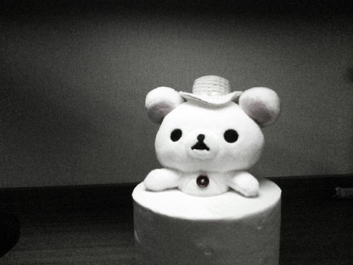 prolmy's profile picture. 95.남.블랙베리