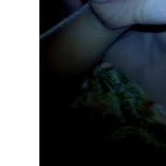 ProlificNetizen's profile picture. Certifiable Opinionated Bastard, Freelance Blogger