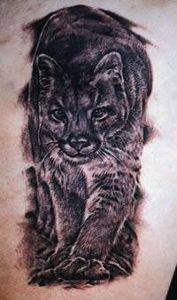 OscarSuapuma's profile picture. 