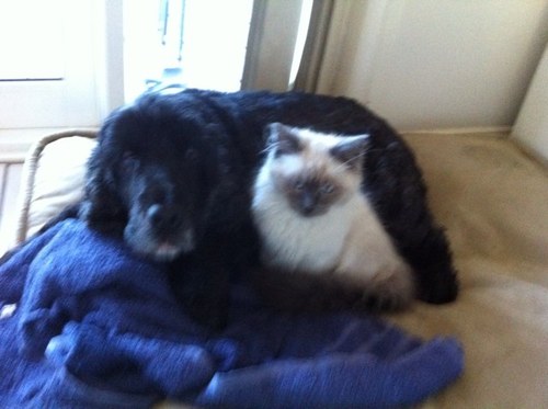 BillmBillmac's profile picture. 