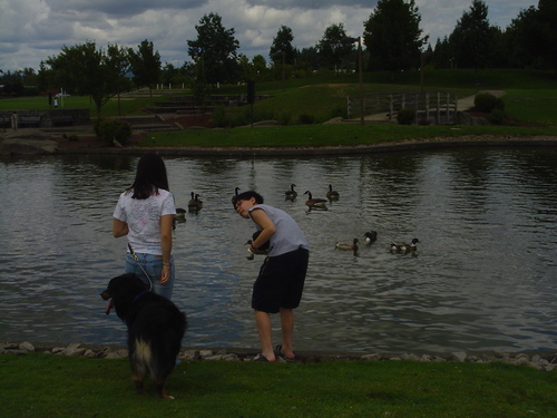 who_knew2's profile picture. If the GOP is really correct, why then do they continually lie and cheat the American People??